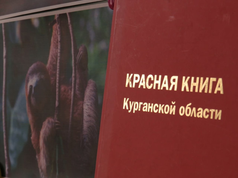 С любовью к животным.